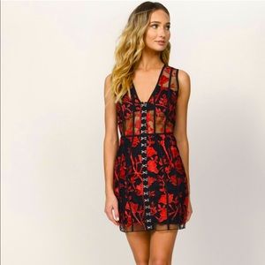 TOBI Lillian Embroidered Bodycon Dress Black/Red